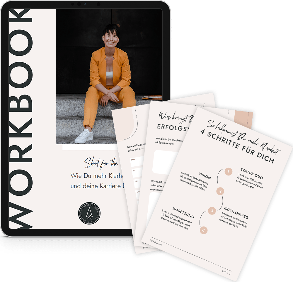 FEMAZE Workbook